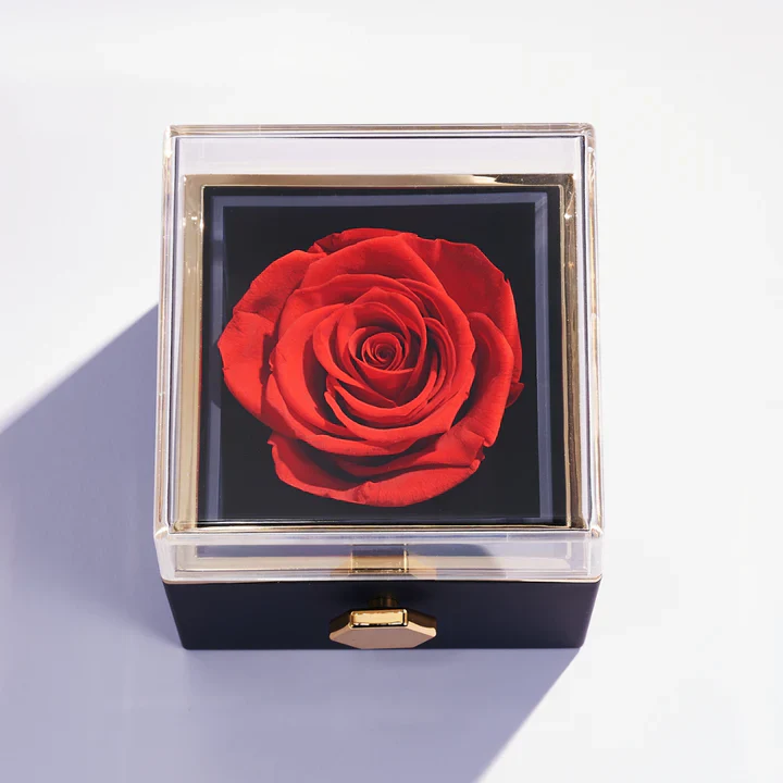 Rose Box & Hug Necklace - Image 4